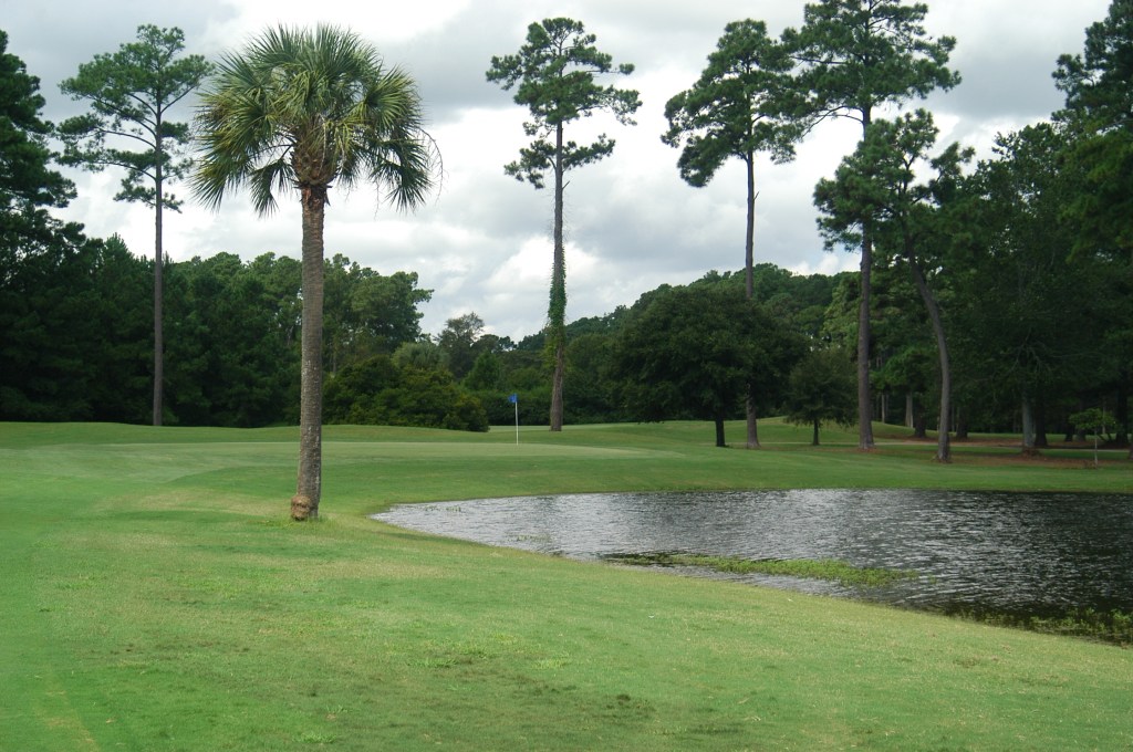 Course gallery image 02