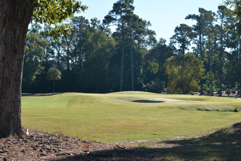 Course gallery image 10