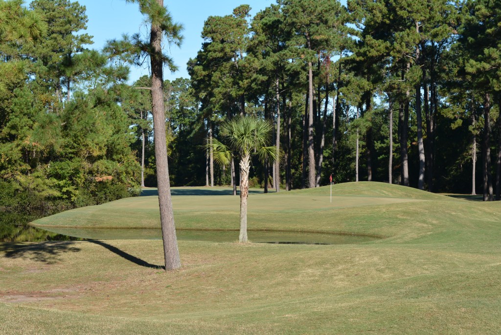 Course gallery image 11