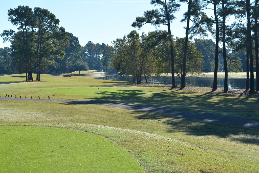 Course gallery image 13