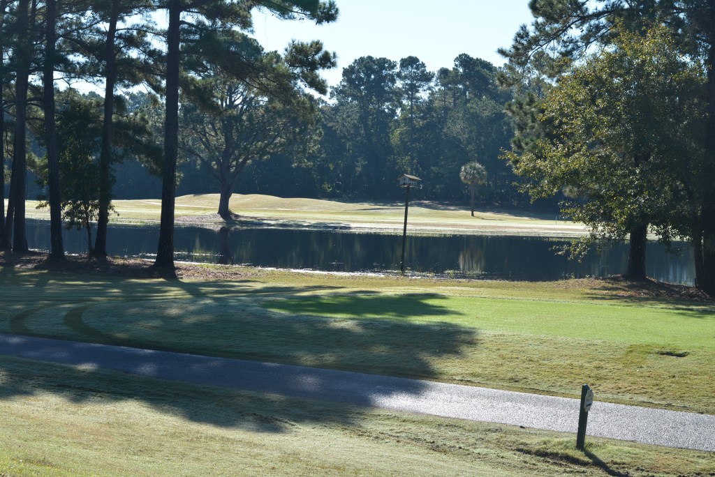 Course gallery image 14