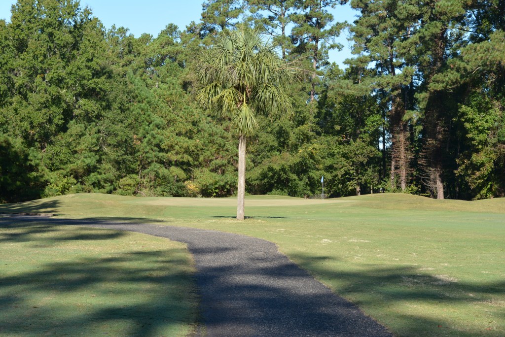 Course gallery image 15
